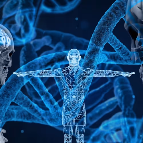 OpenSea banner for @biomedical