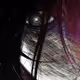 phenomwrld19