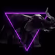 CtrlZack