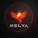 NELVA-Global