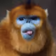 torge