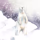 BearBearcollection