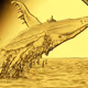 GOLDWHALE365