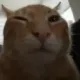 K1-