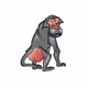 MoodyBaboonClub