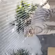 CFTech