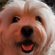 0x16c8f33218354476762bc4c9cabdebc6a274d1a6