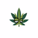 Weedyblez