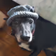 ruffcommander