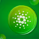 MetaForgeX_