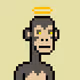 nonfungiblejoel