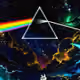 Riskinthemetaverse