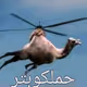 0xeceordyh