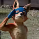 KingSwiper
