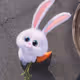 _Snowball