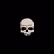 DeadPro