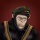 RamboApe