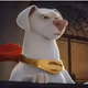 Krypto_kaii