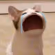 0x1854d7c3d8eb63471a6156094cdfe76c6c7245de