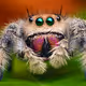 iBugMan