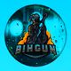 OfficialBihgun