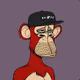 IllusiveApe