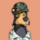 junglepwny