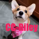 ccriley