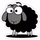 bsheep916