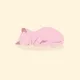Candy_Floss
