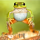 0x191c201b00bcd0f8588a9ba7b7a5b503bfab0544
