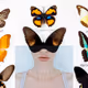 CodingBeauty
