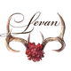 MsLevan