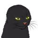0xrumora
