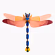 TheDragonflyDoji