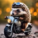 motocrot