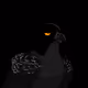 BoredFalcon