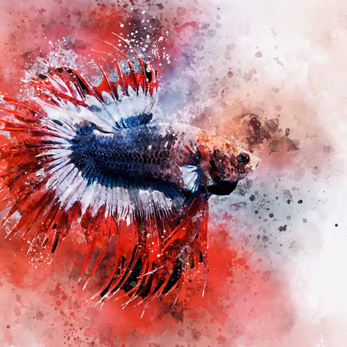 OpenSea banner for @Ectopic