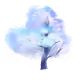 0x19d757850510ebf3aa136ae9086ec5251dfc0eff