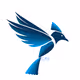 Bluejayway