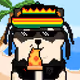dogewalkedsoshibcouldfly
