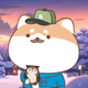 MrCoo