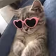 Itzkat2e