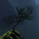 riven_eth