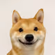 0x1a3fa518e361426fa2f8194db222261c398f6804