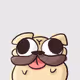 whatthepug