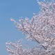 VDFGV852