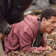 Ape-in