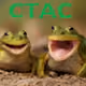 stas22331