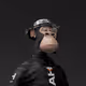 WesleyTajiri